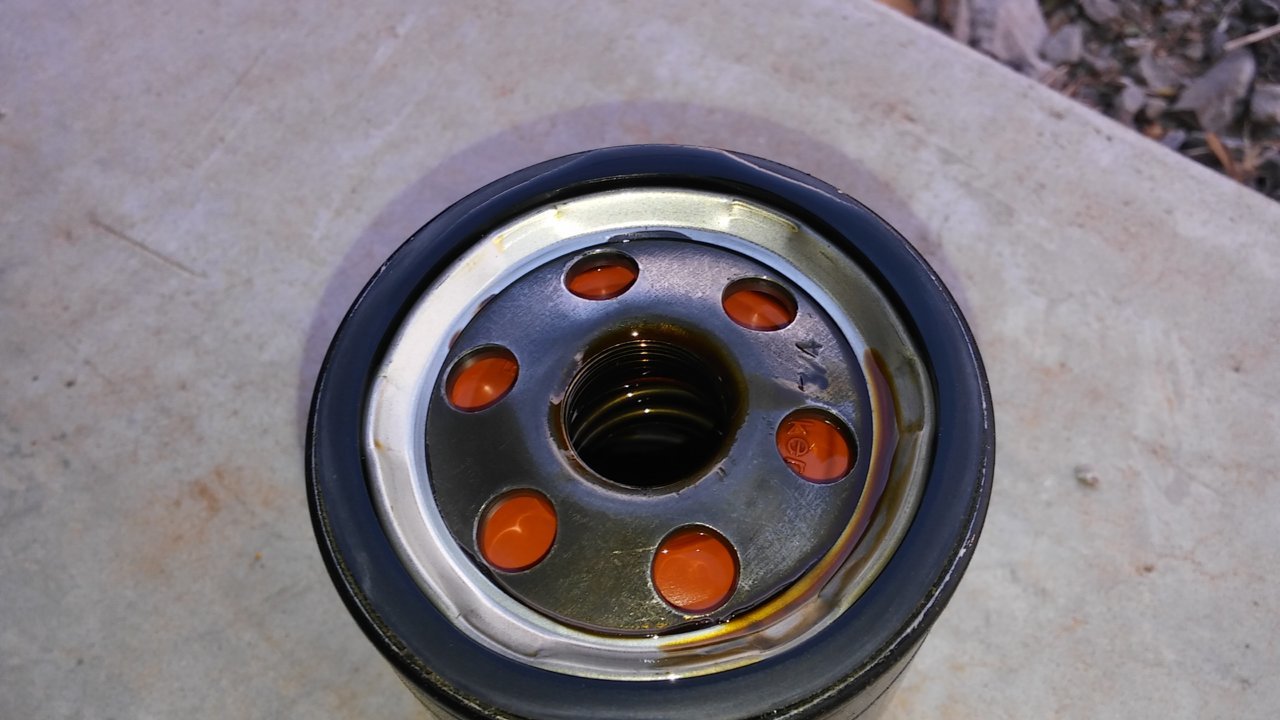 20180401_173923.jpg
