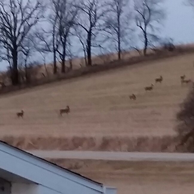 20180401_192759-1.jpg