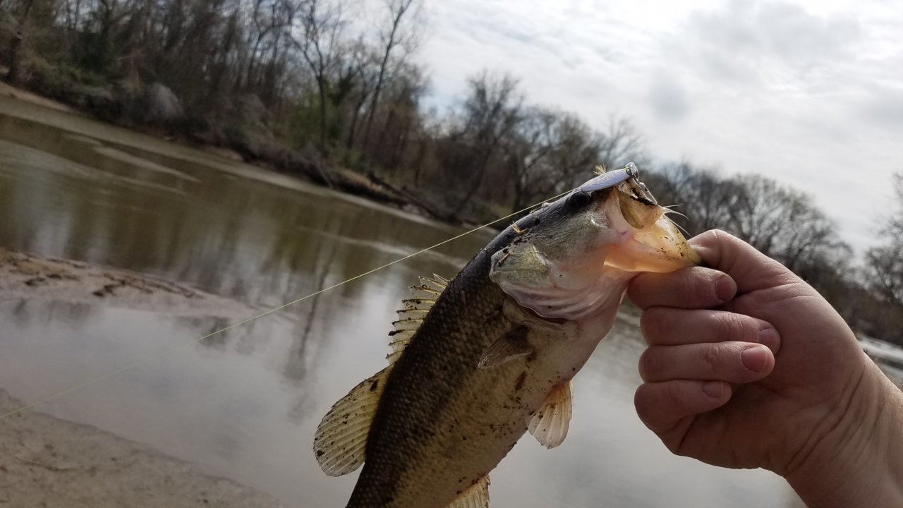 20180402_142514.jpg