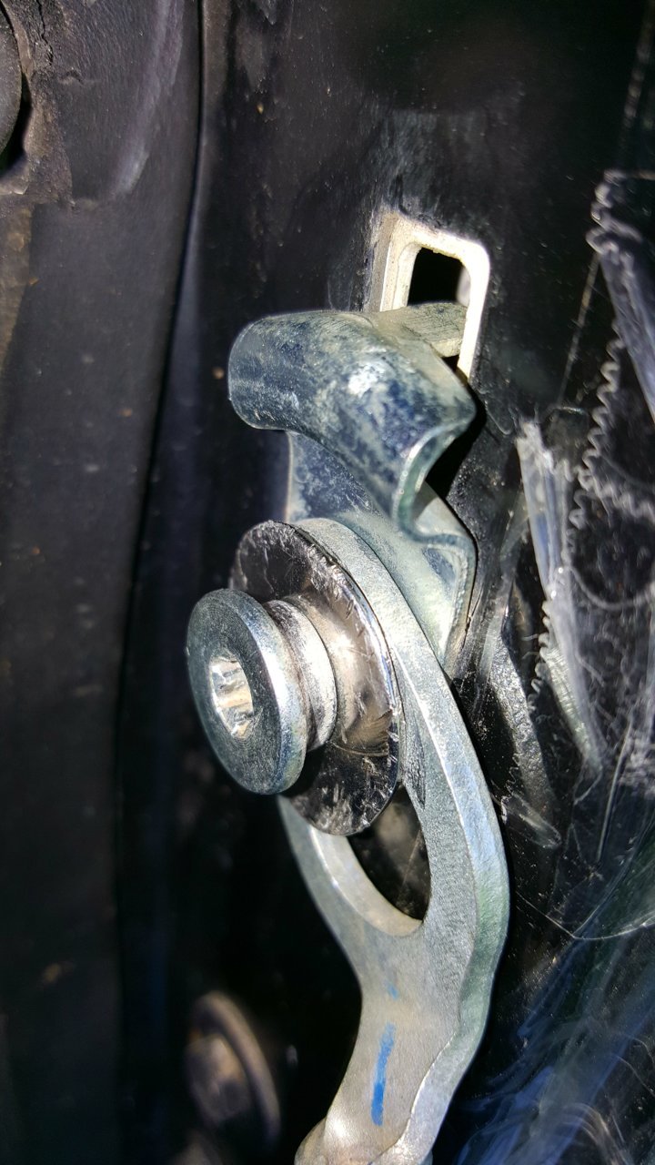 20180403_155237.jpg