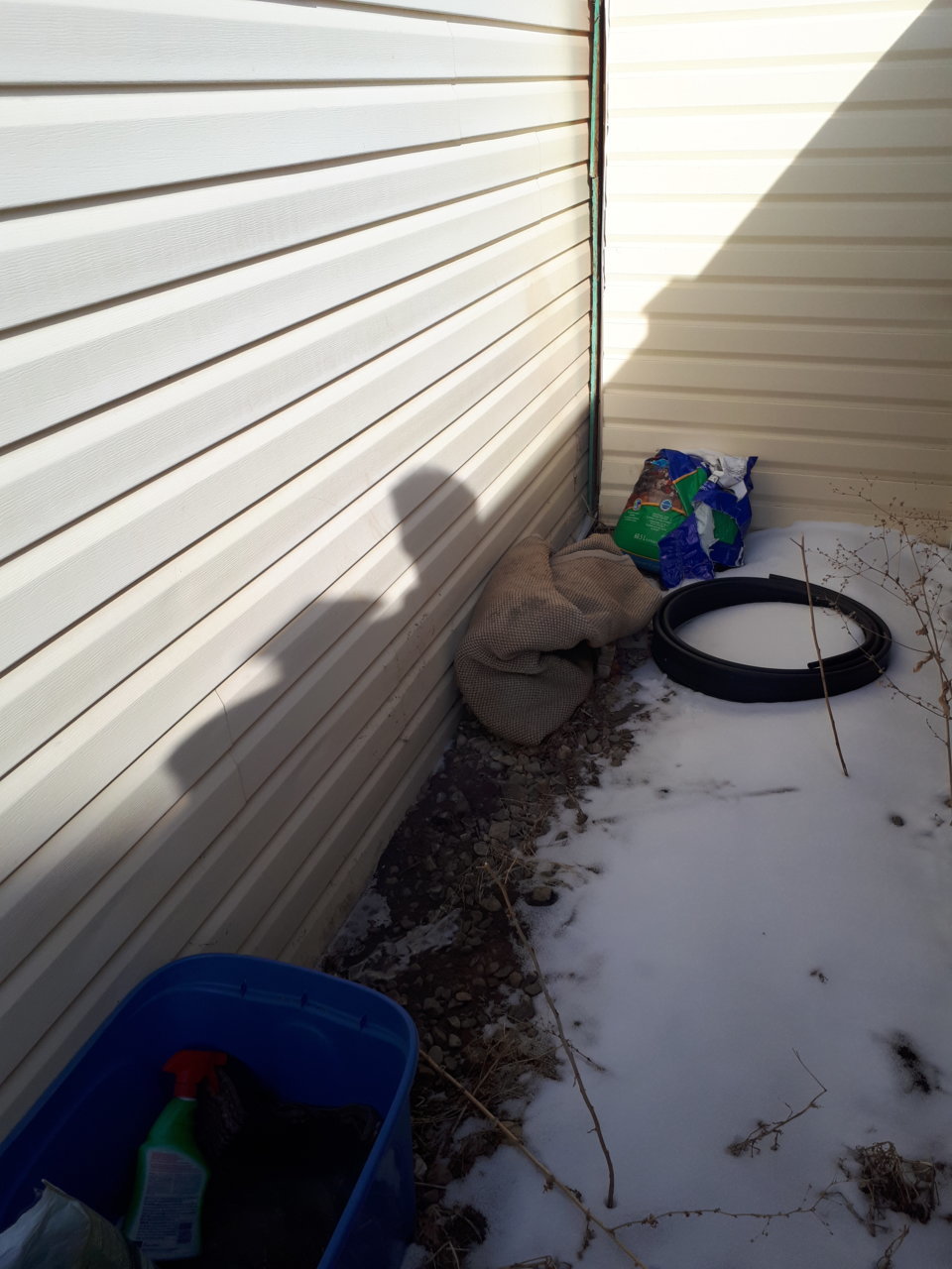 20180403_173351.jpg