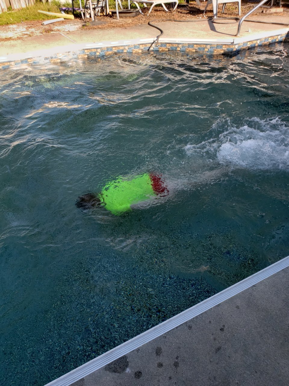 20180403_174754.jpg