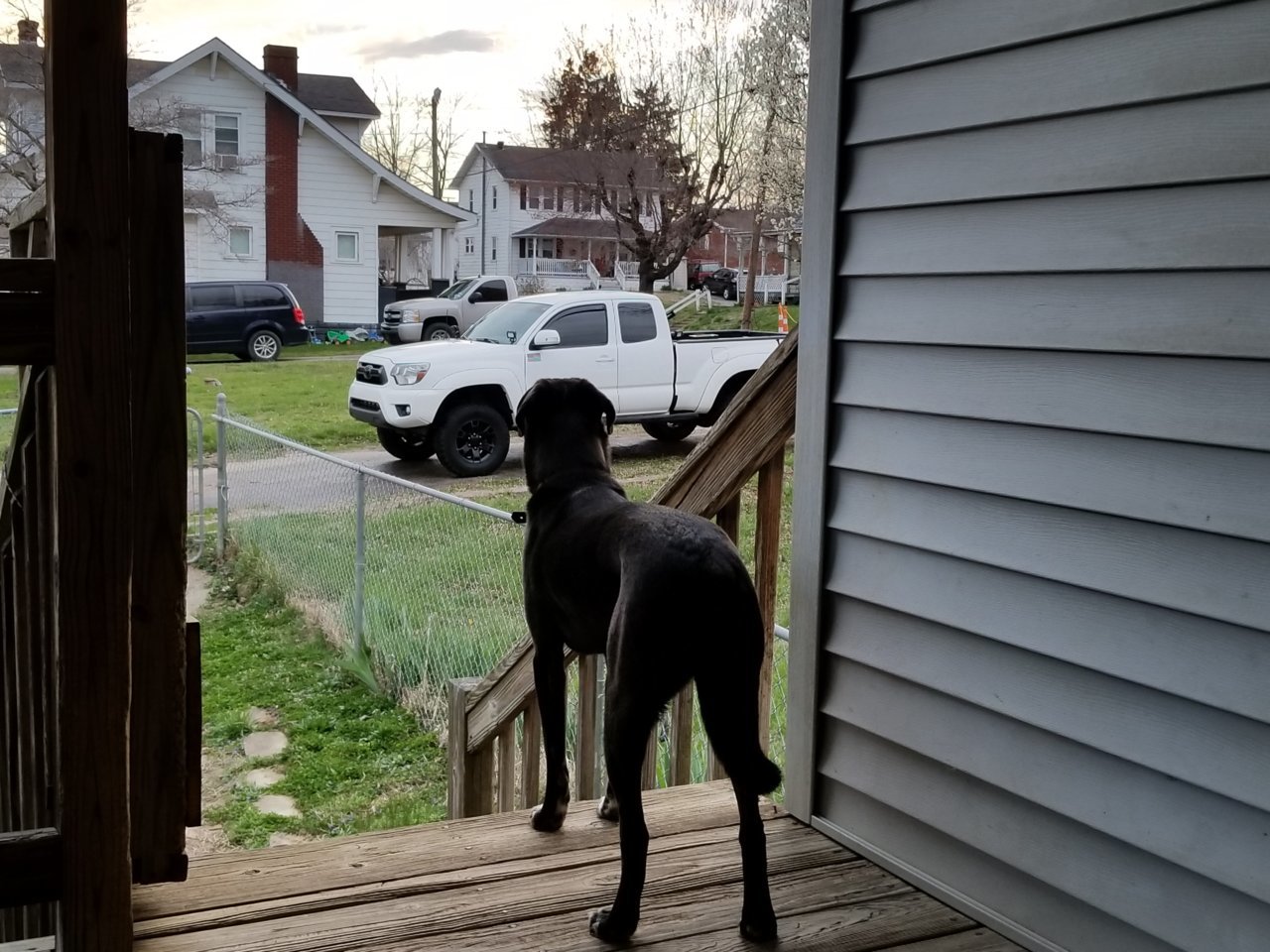 20180403_193351.jpg