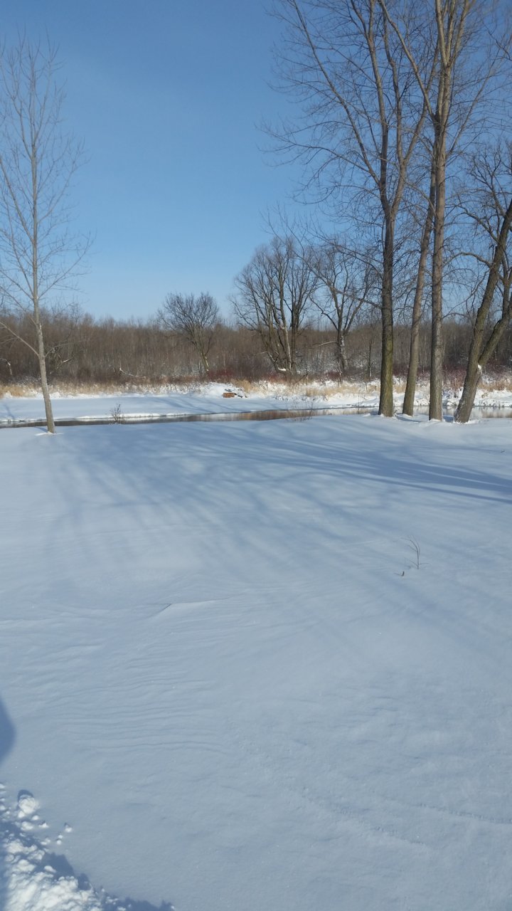20180404_081919.jpg