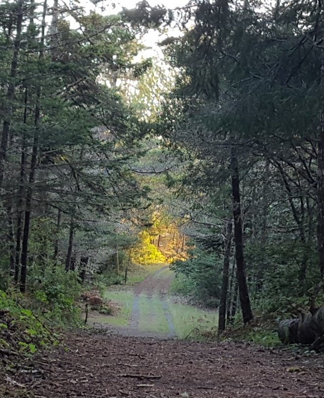20180404_153459.jpg