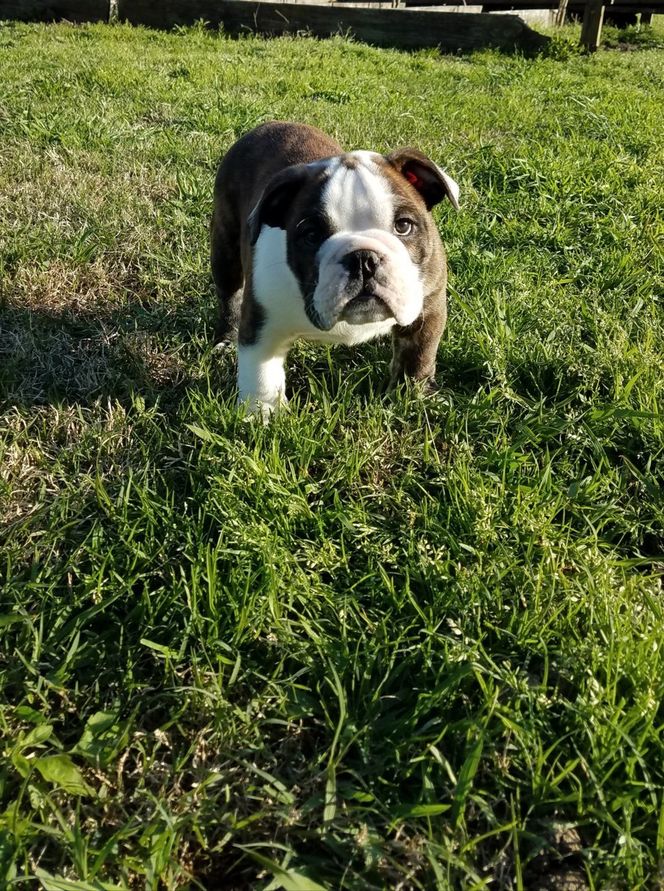 20180404_182019.jpg