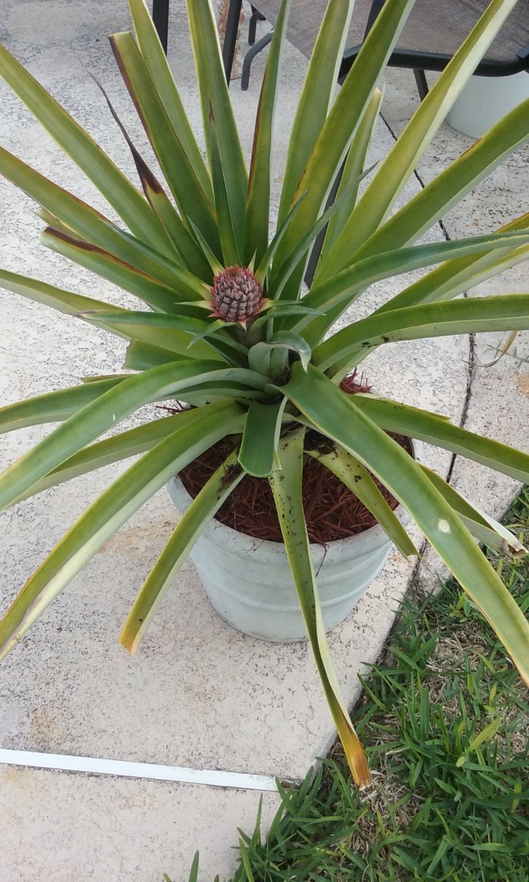 20180405_094634.jpg