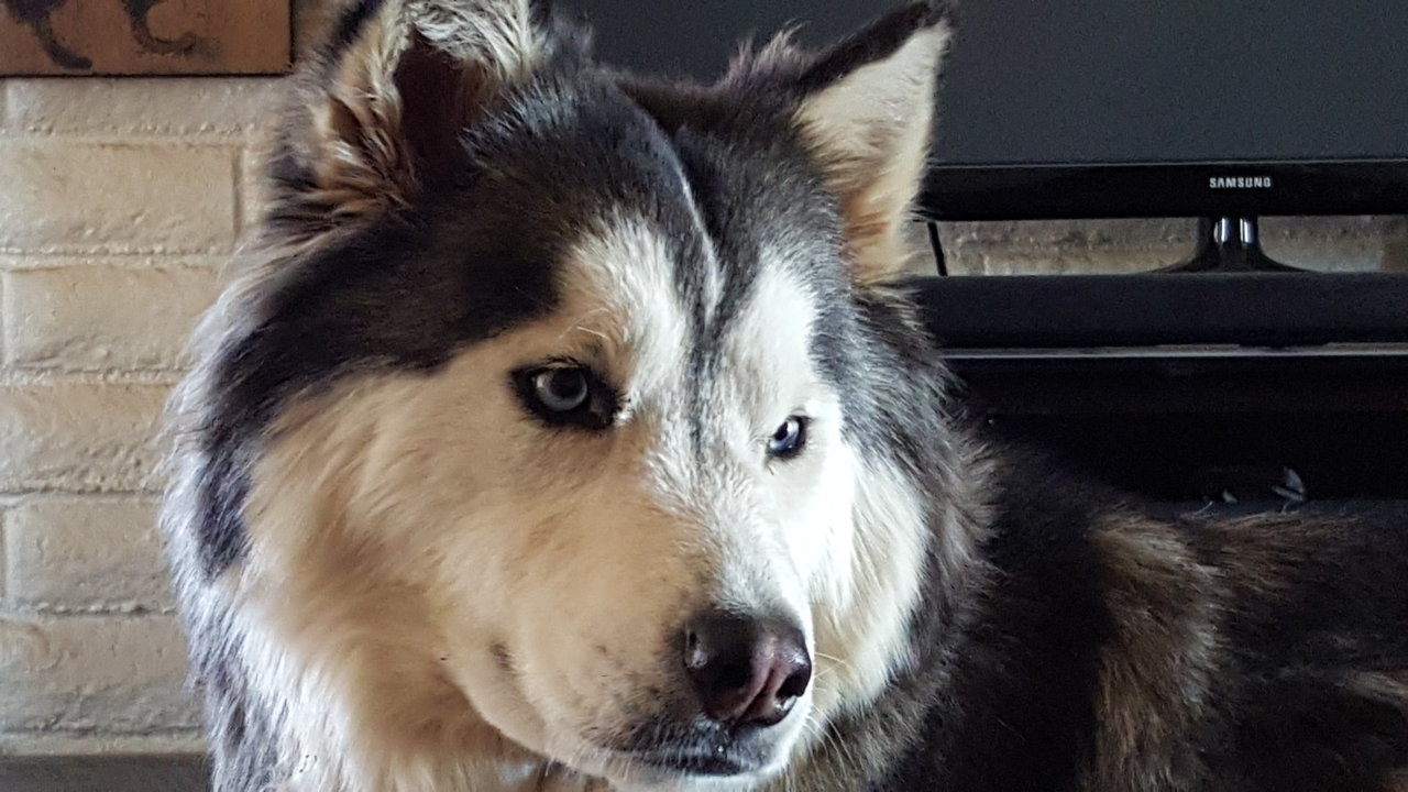 20180405_122543.jpg