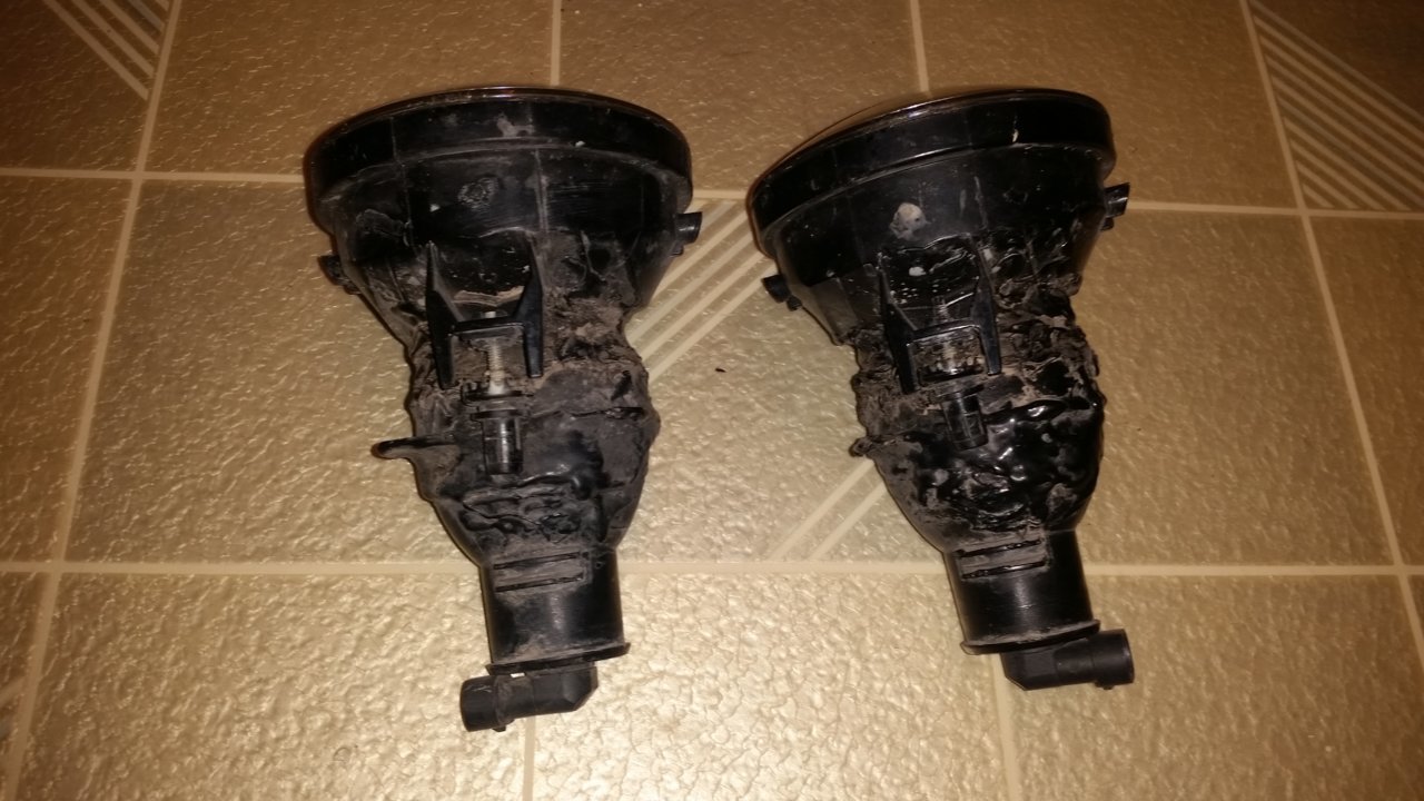 20180405_134052.jpg