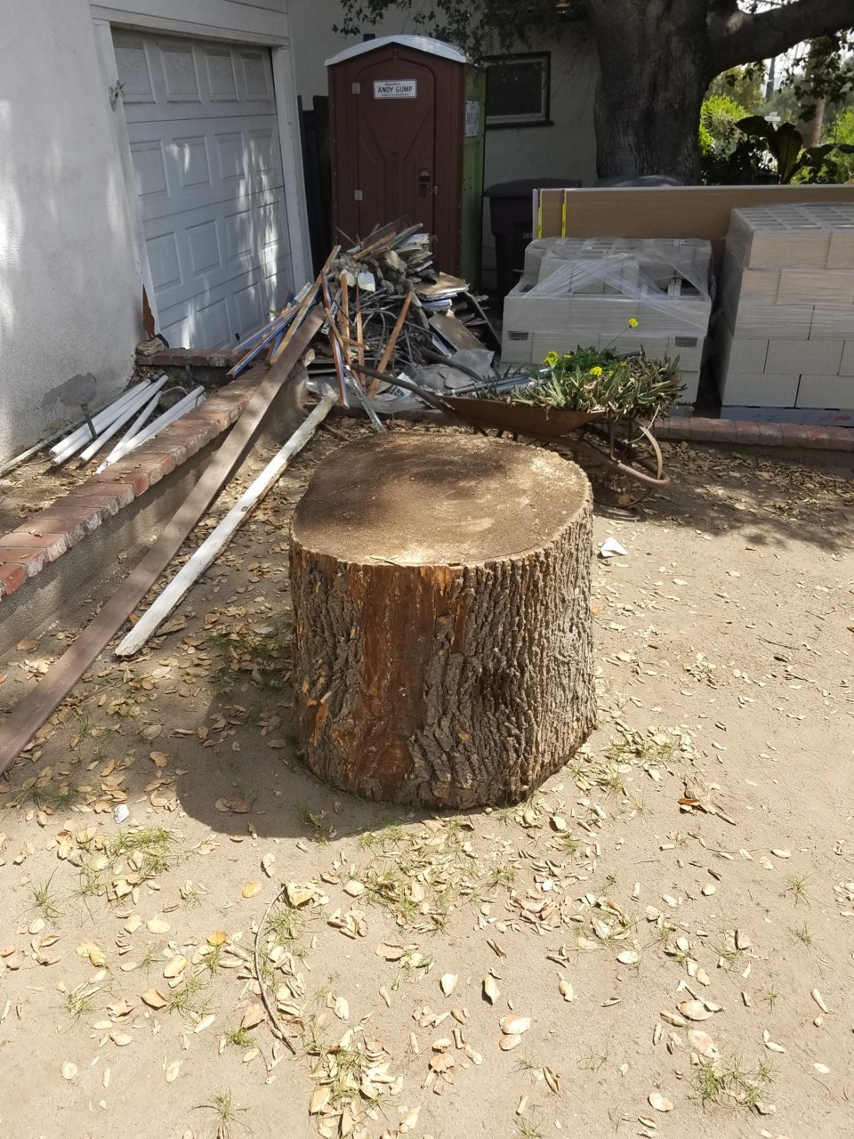 20180406_132311.jpg