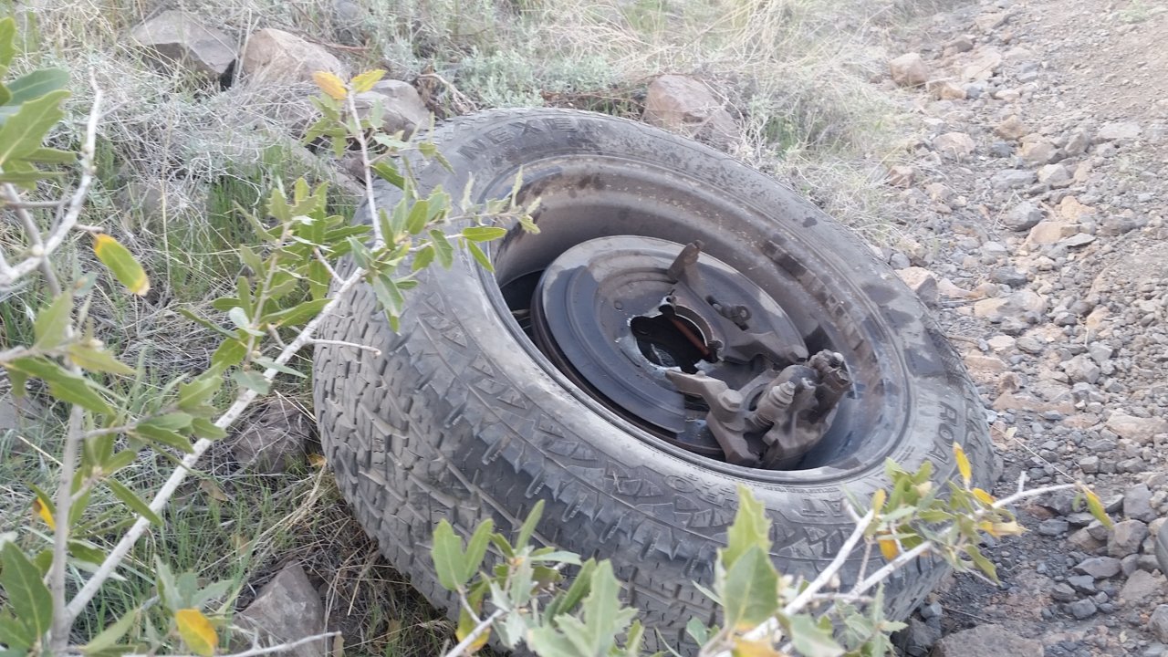 20180406_164958.jpg