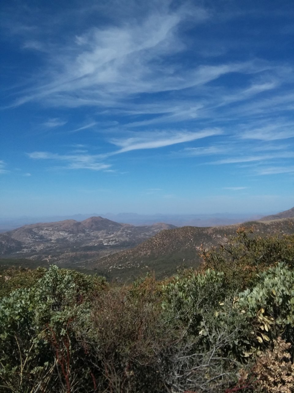 20180407_100955.jpg