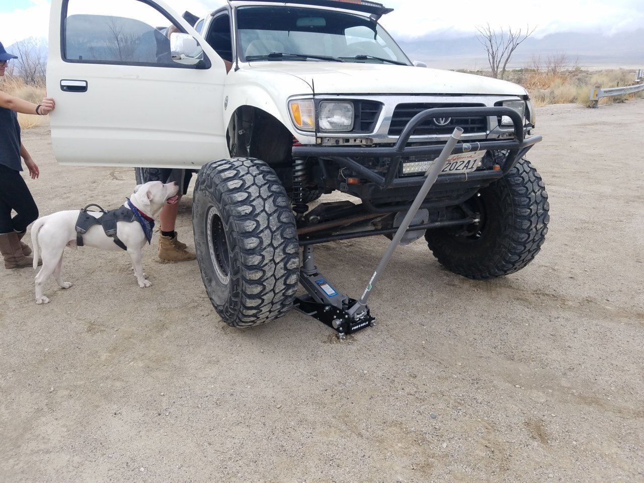 20180407_104443.jpg