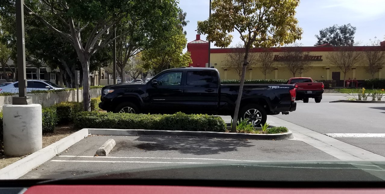 20180407_124341.jpg