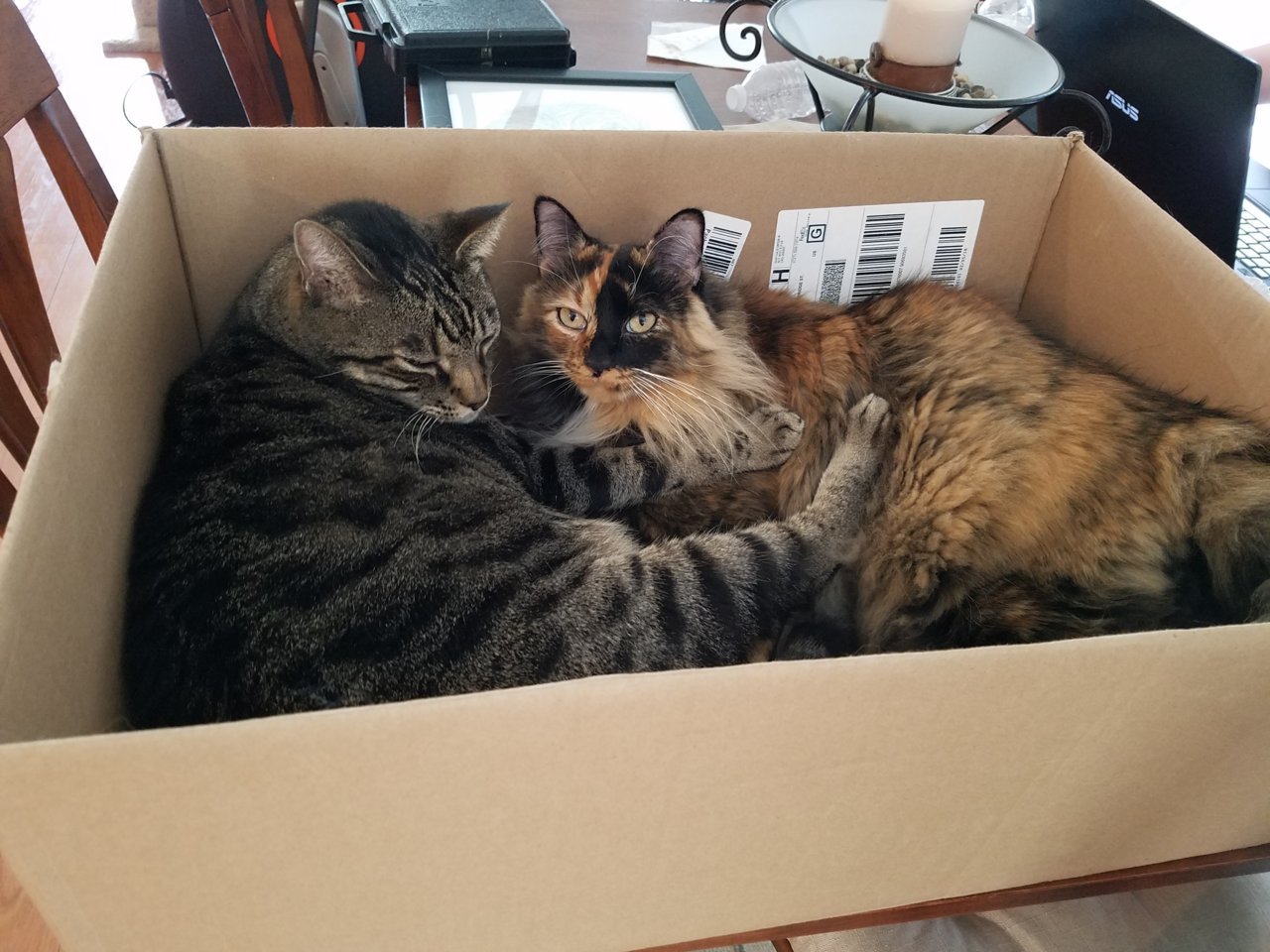 20180407_154522.jpg