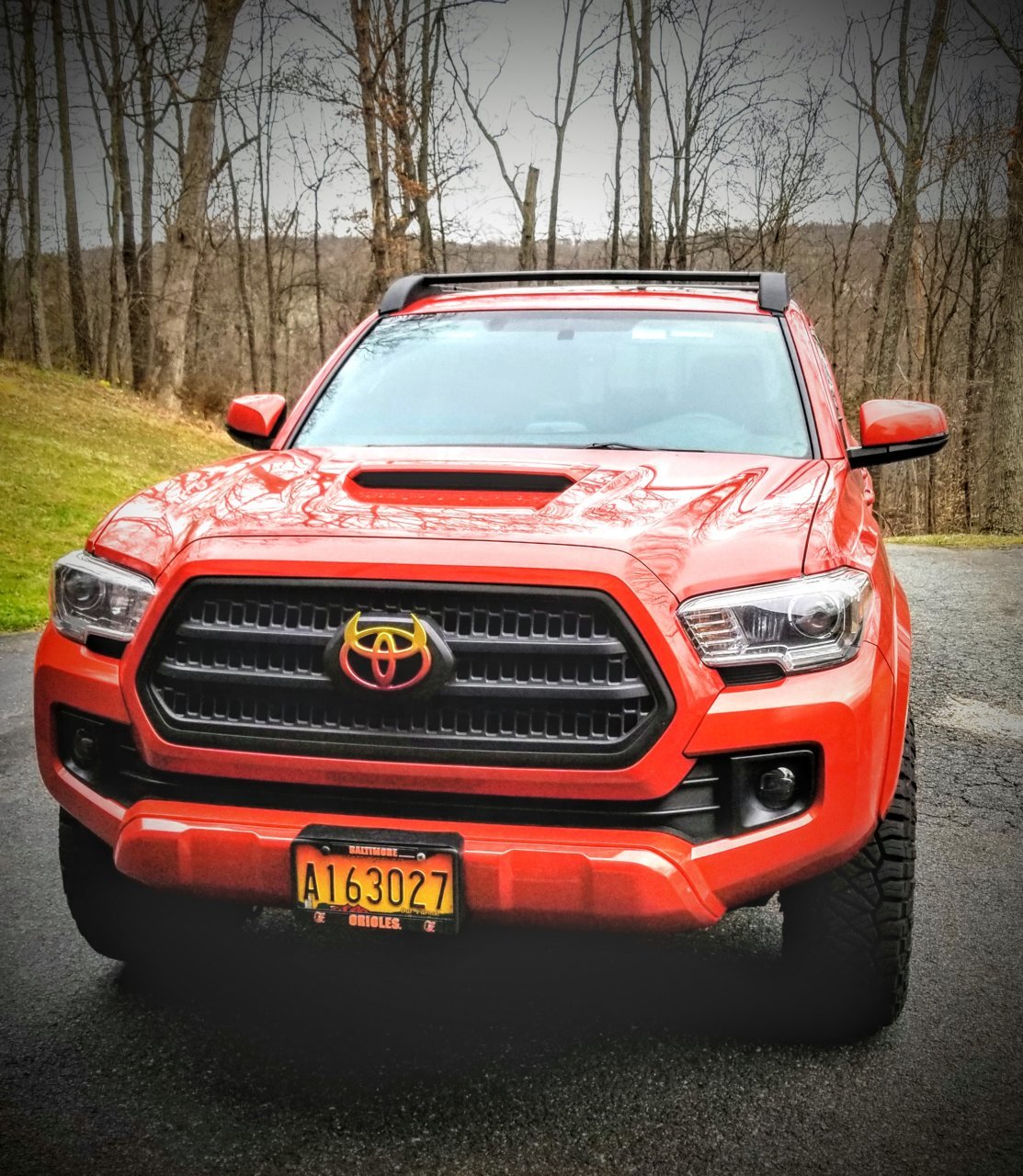 20180407_164156.jpg