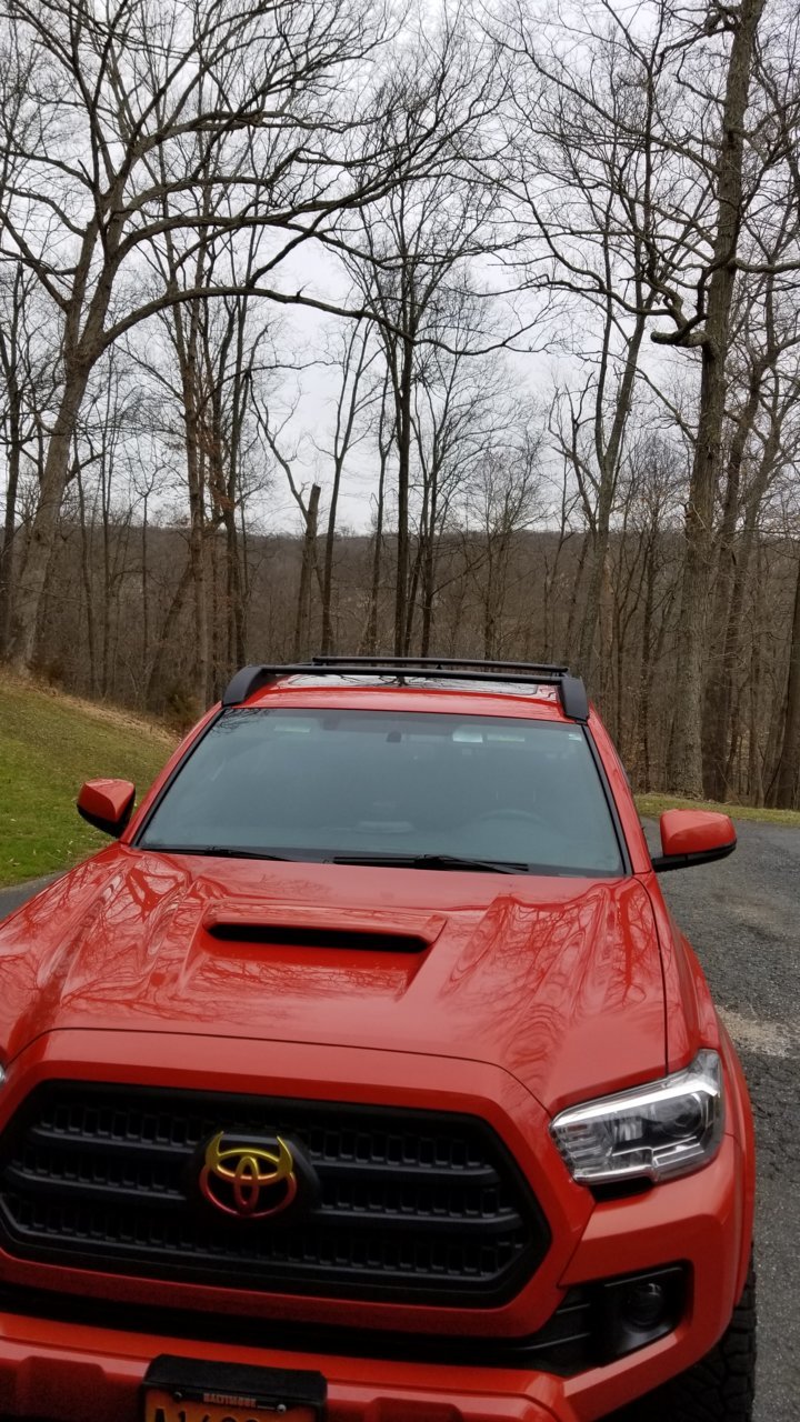 20180407_164208.jpg