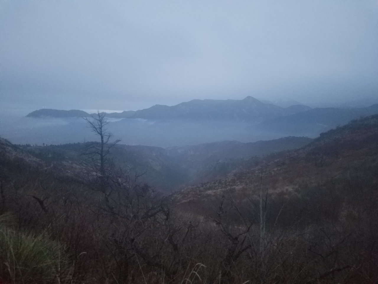 20180407_194336.jpg