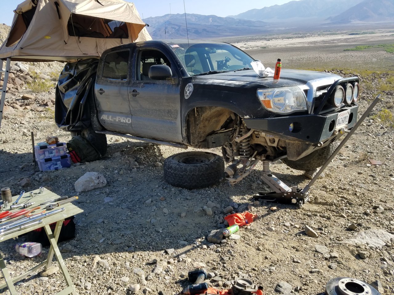 20180408_084127.jpg