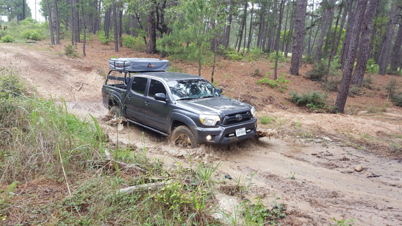 20180408_114003.jpg