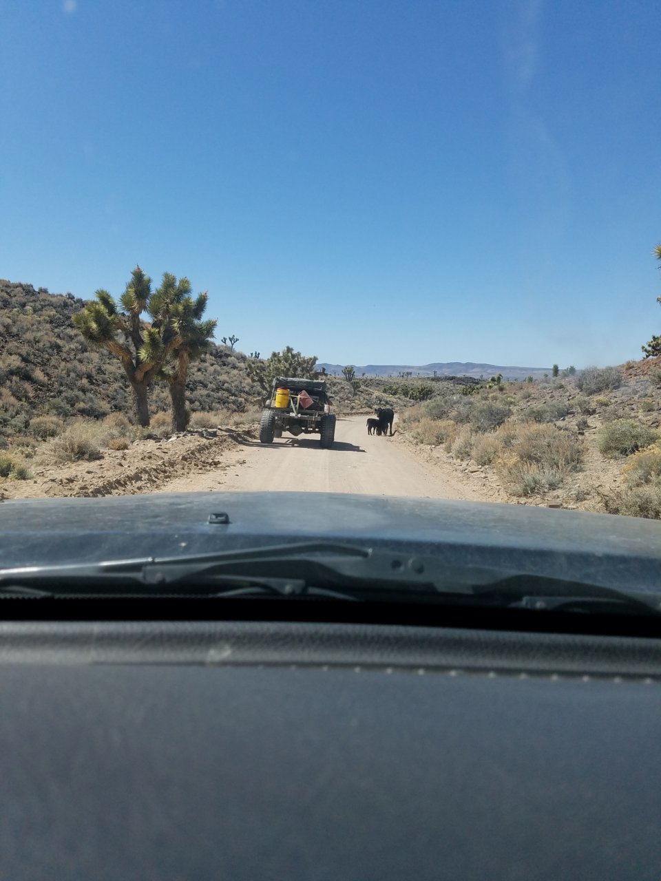 20180408_114736.jpg