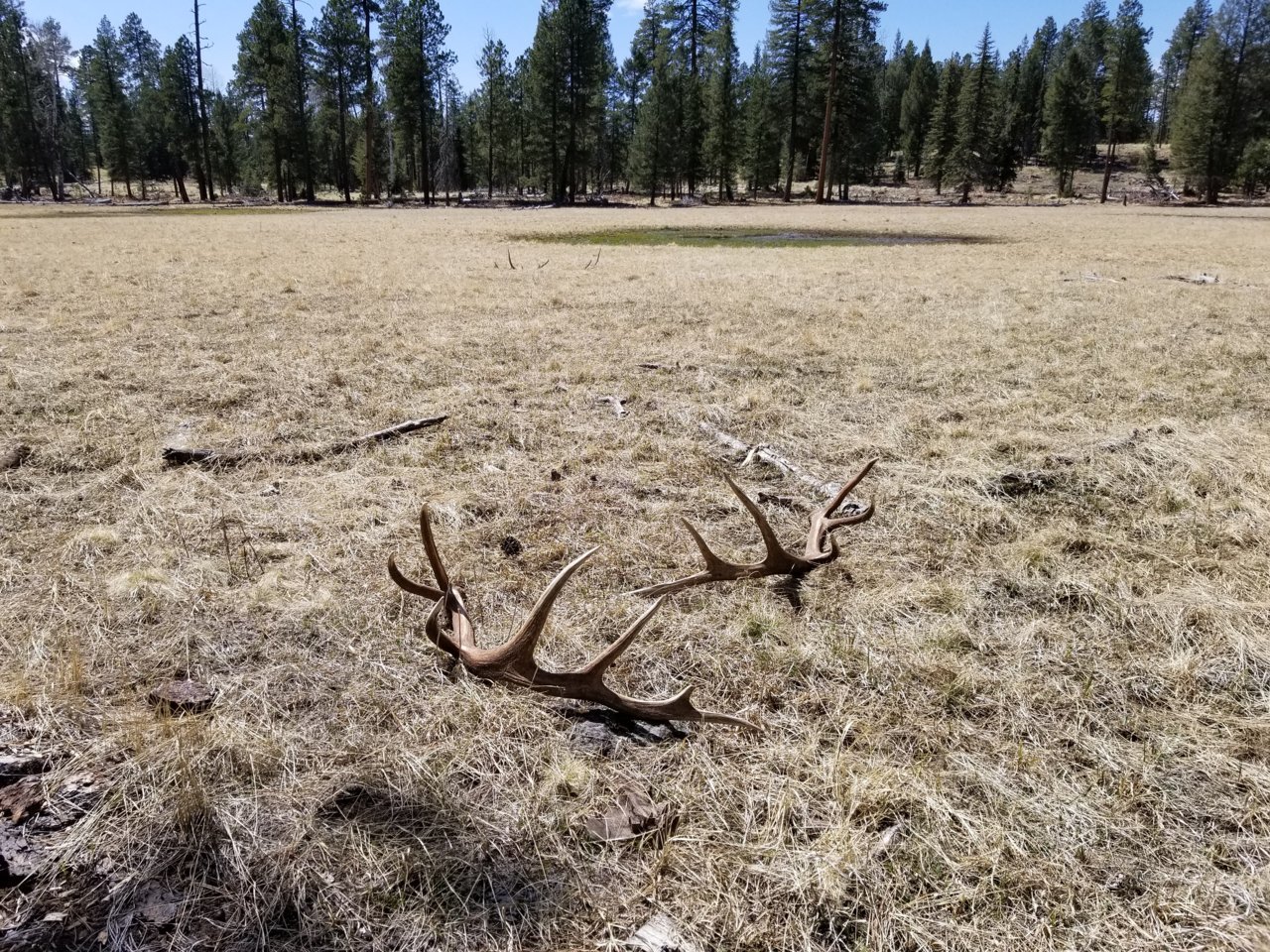 20180408_131722.jpg