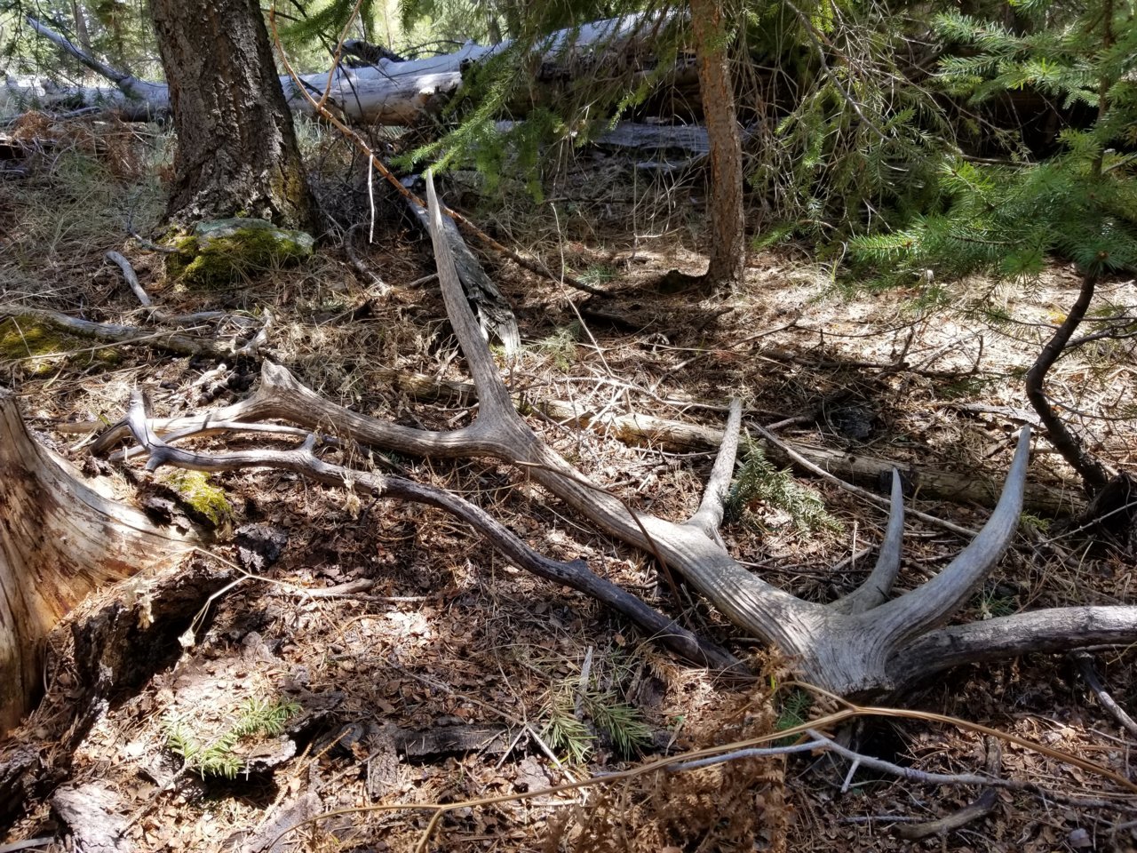 20180408_133338.jpg