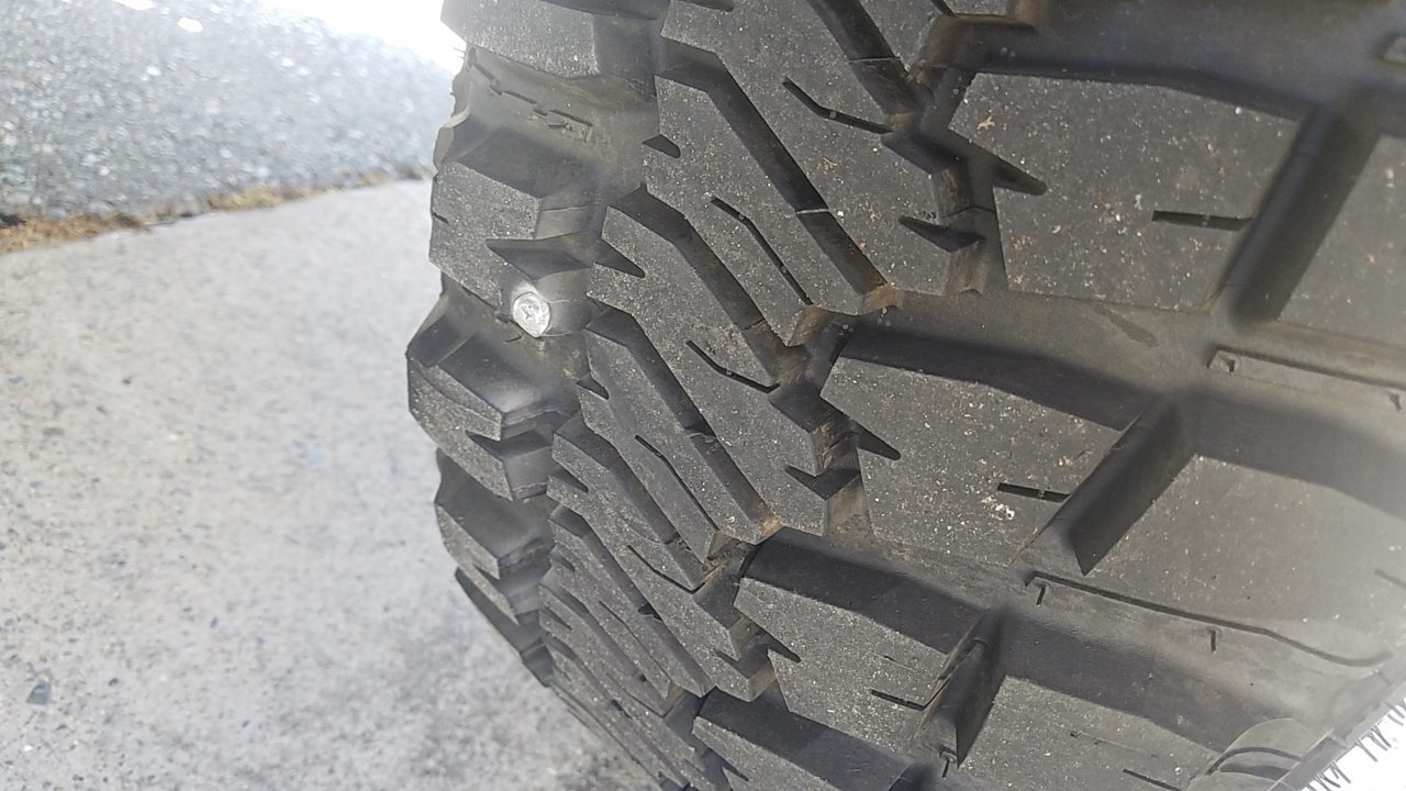 20180409_120829.jpg