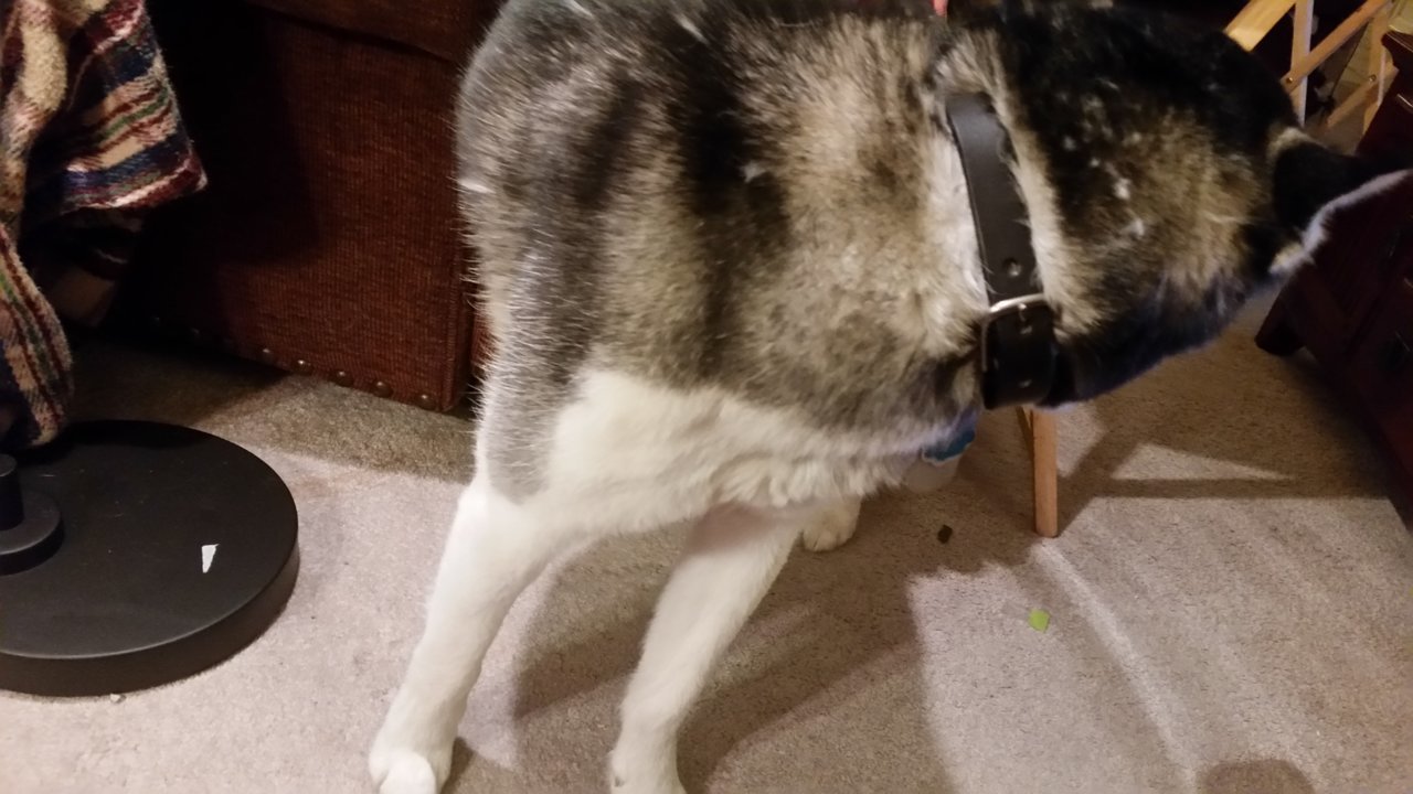 20180409_221553.jpg