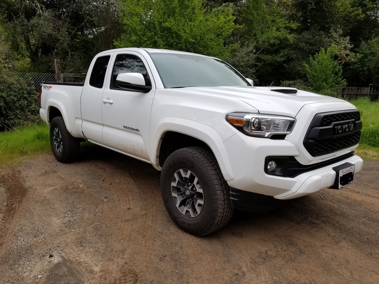 20180410_161838TWW.jpg
