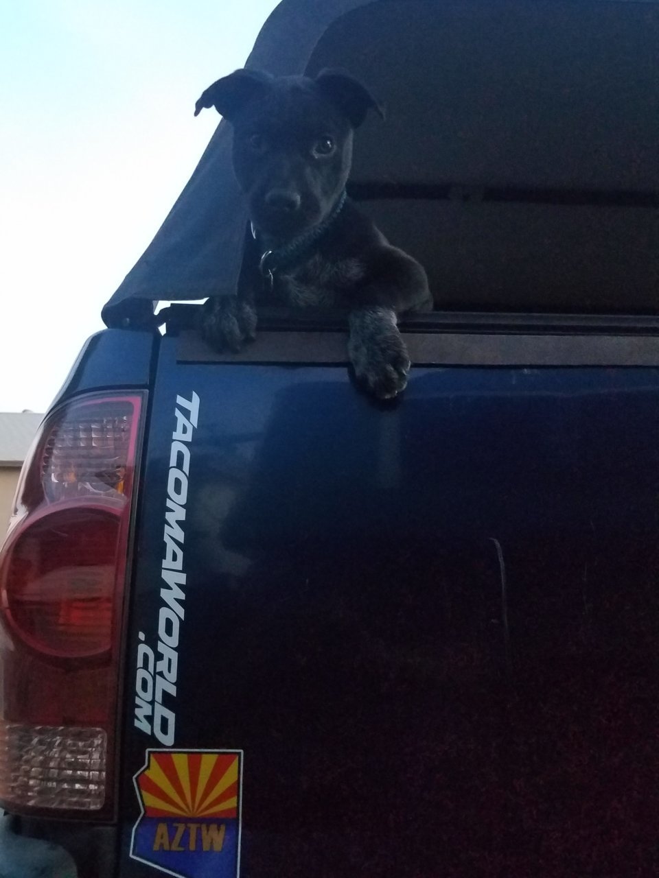 20180410_190447.jpg