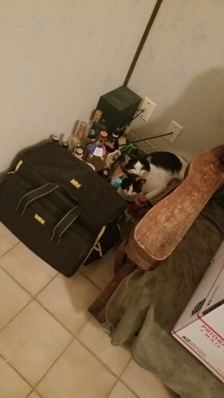 20180411_224204.jpg