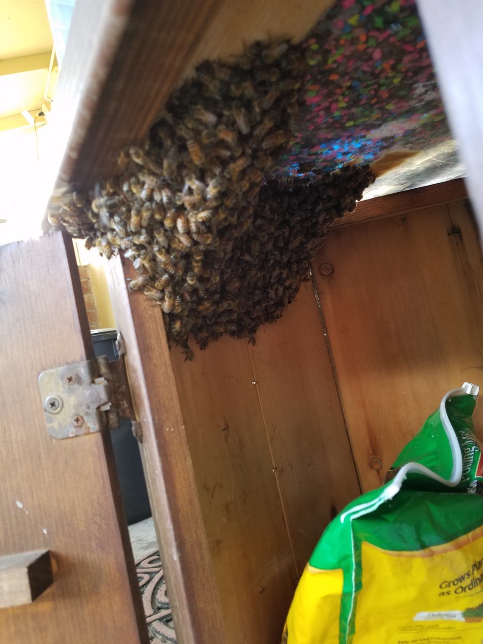 20180412_174144.jpg