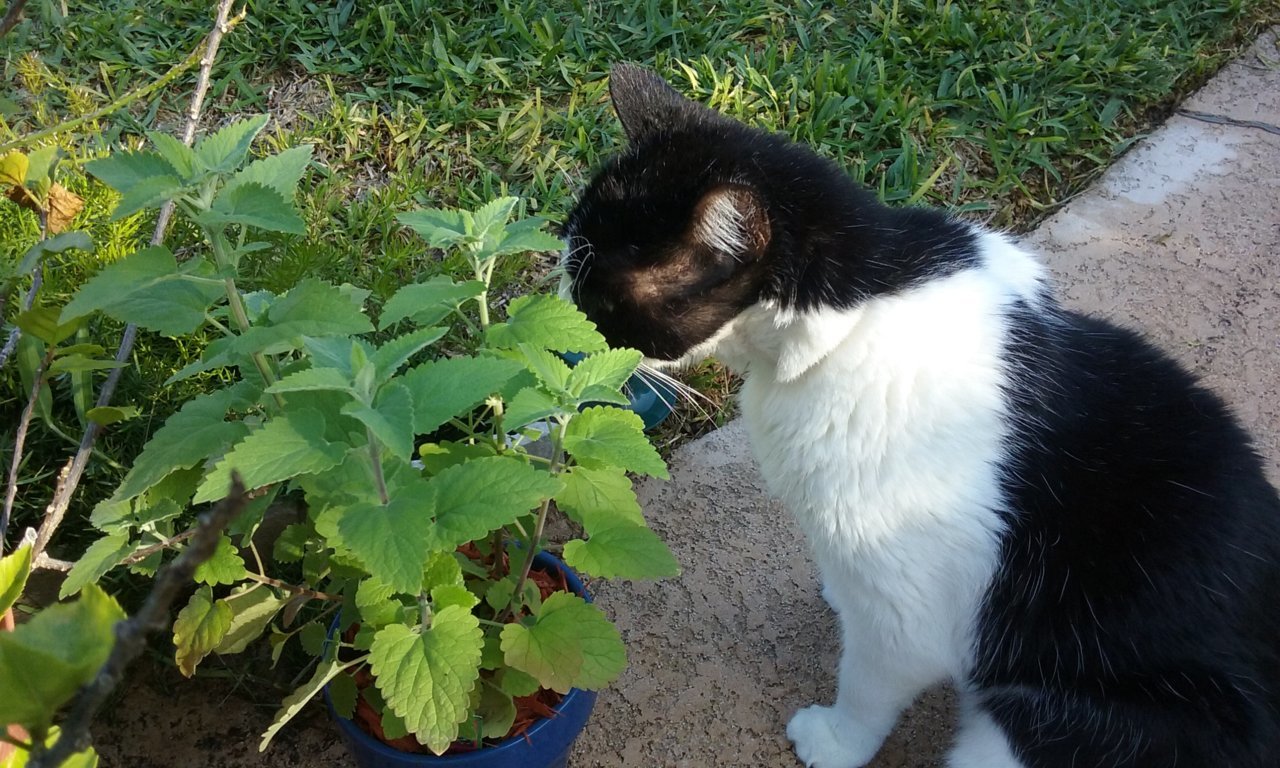 20180412_174822.jpg