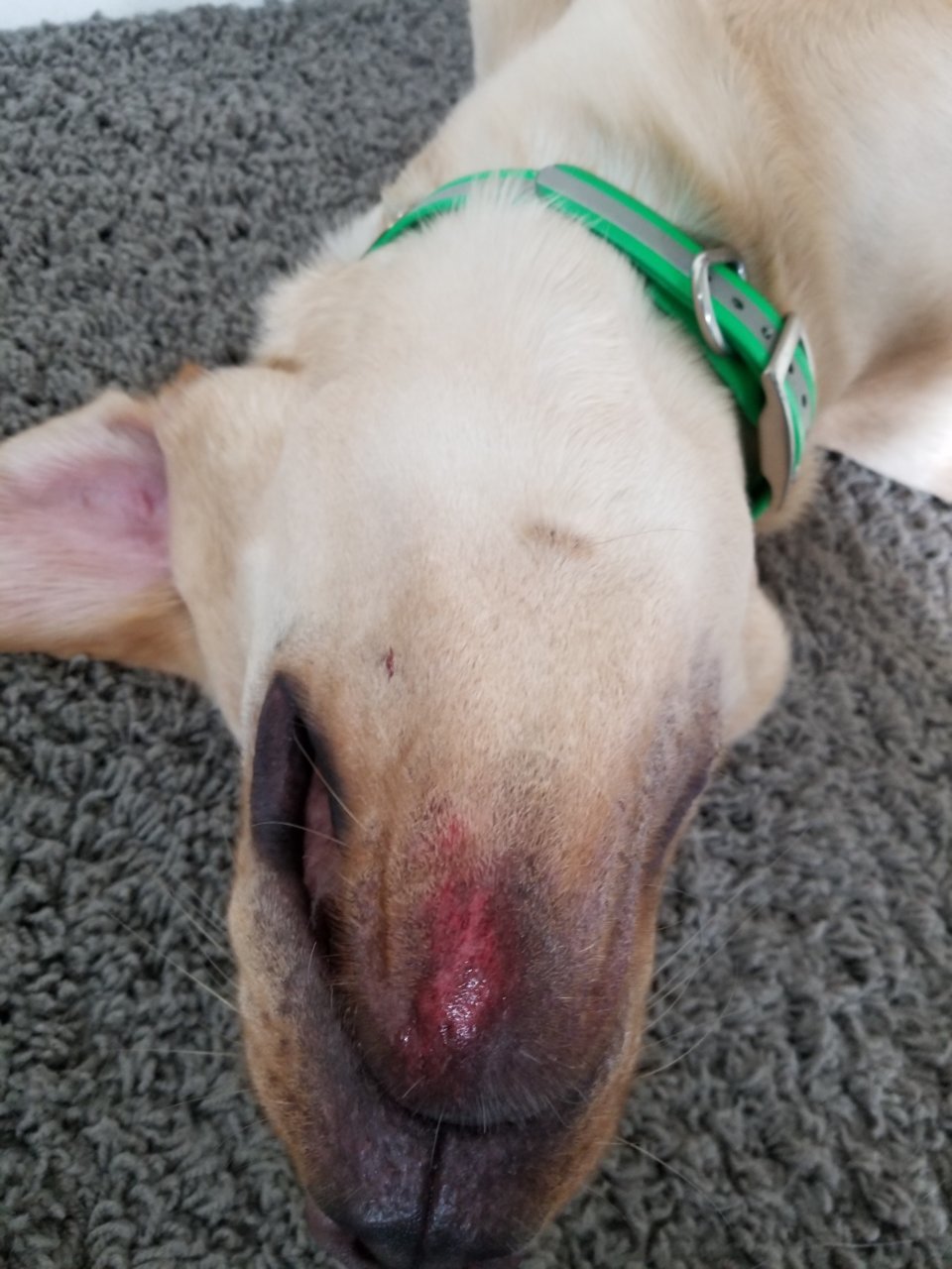 20180413_105741.jpg