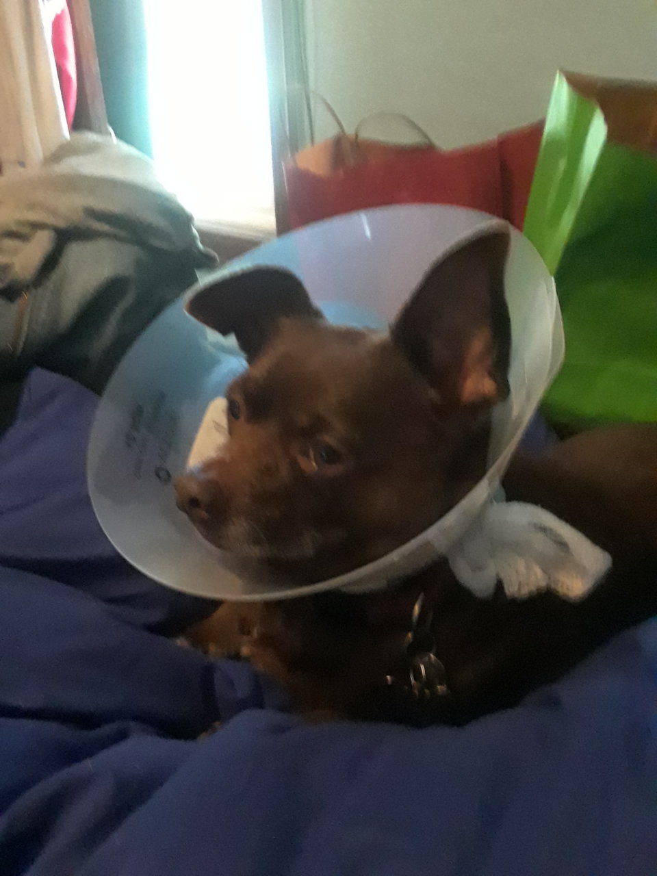 20180413_121040.jpg