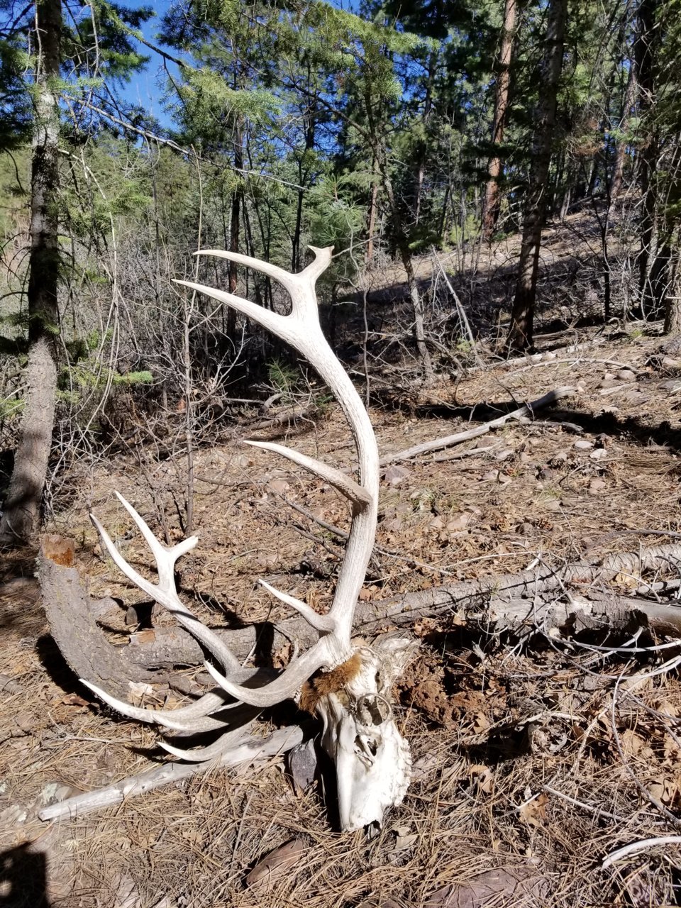 20180413_152547.jpg
