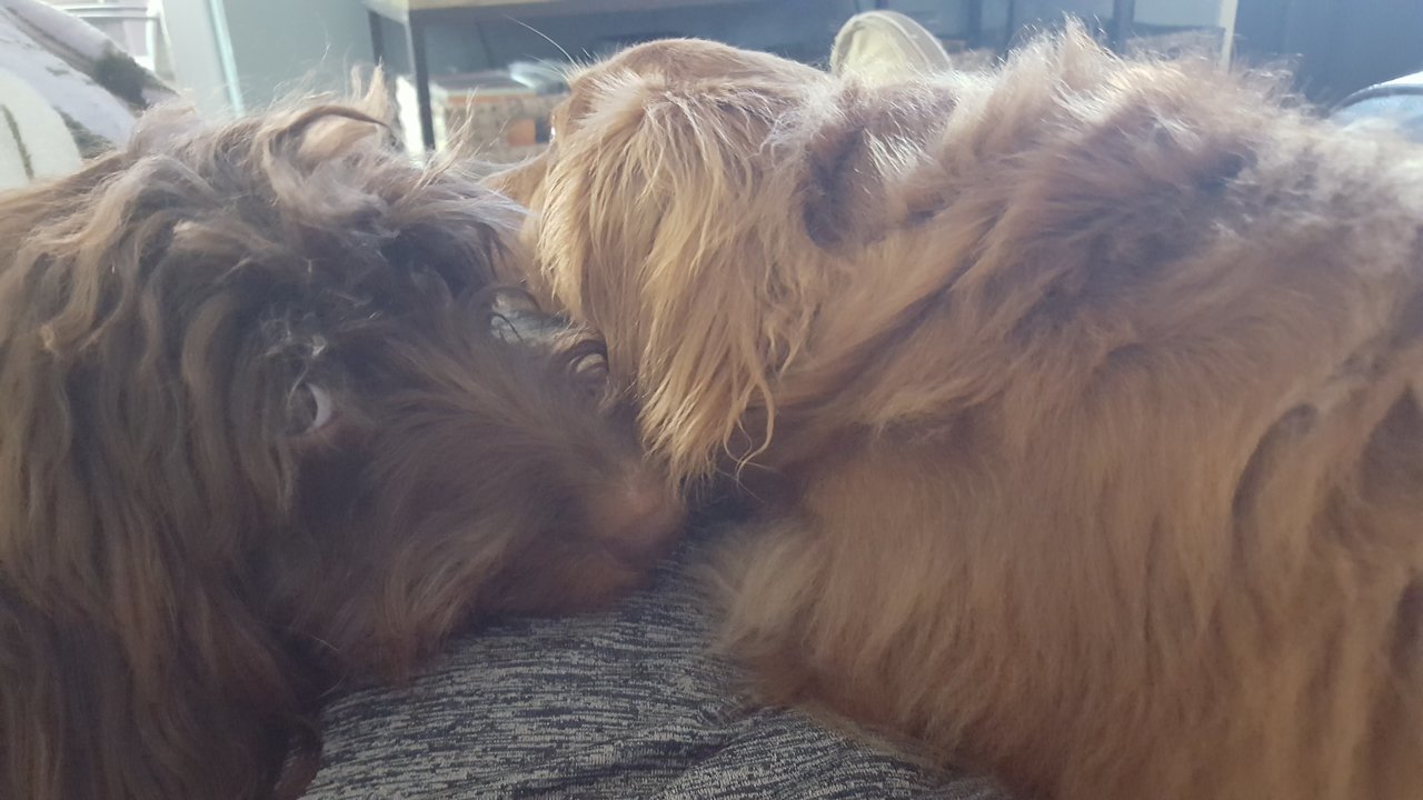 20180413_163349.jpg