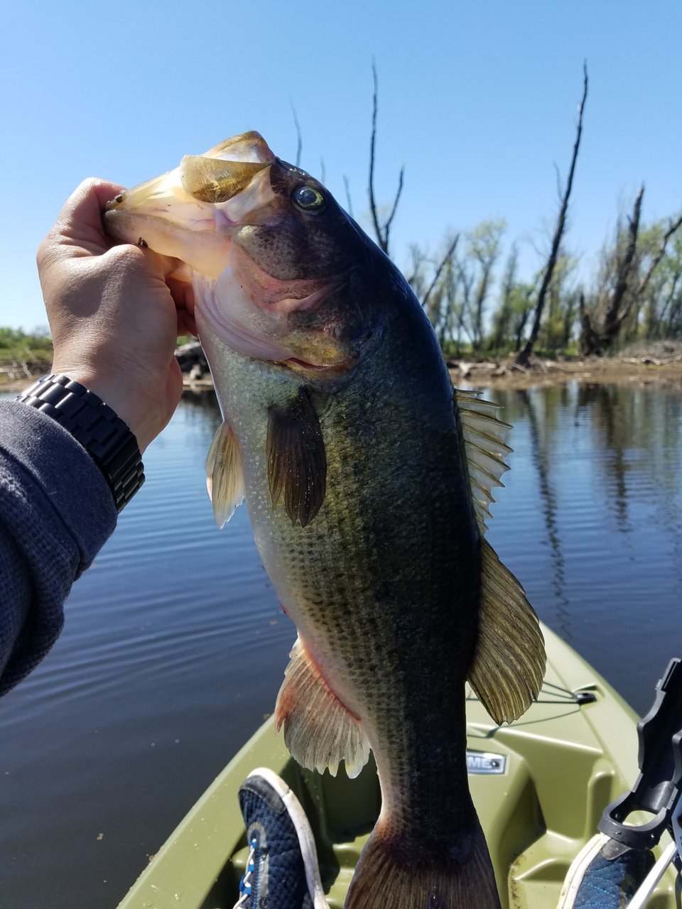 20180414_120355.jpg