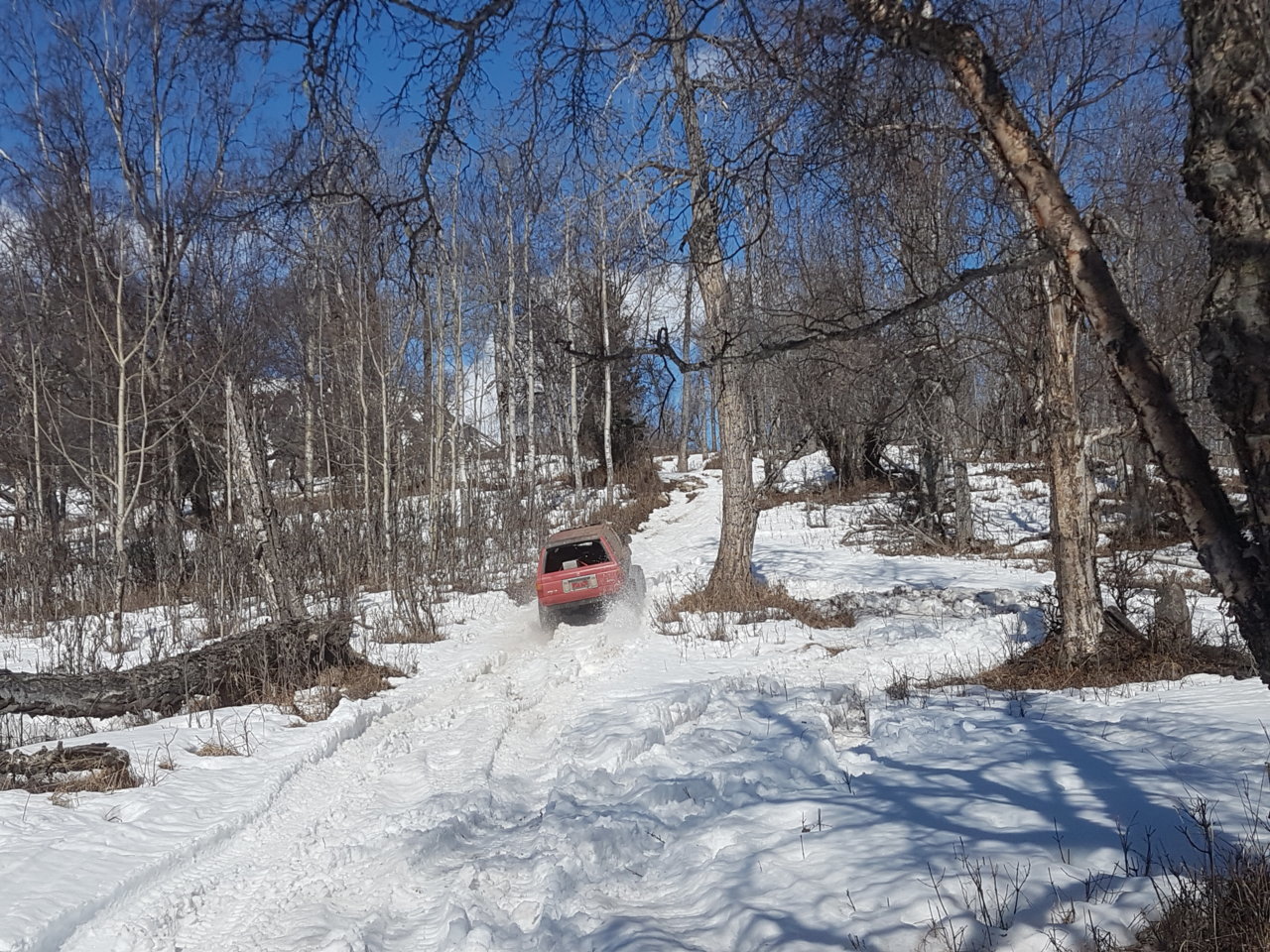 20180414_150210.jpg