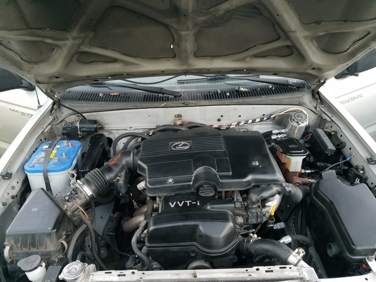20180414_192400.jpg