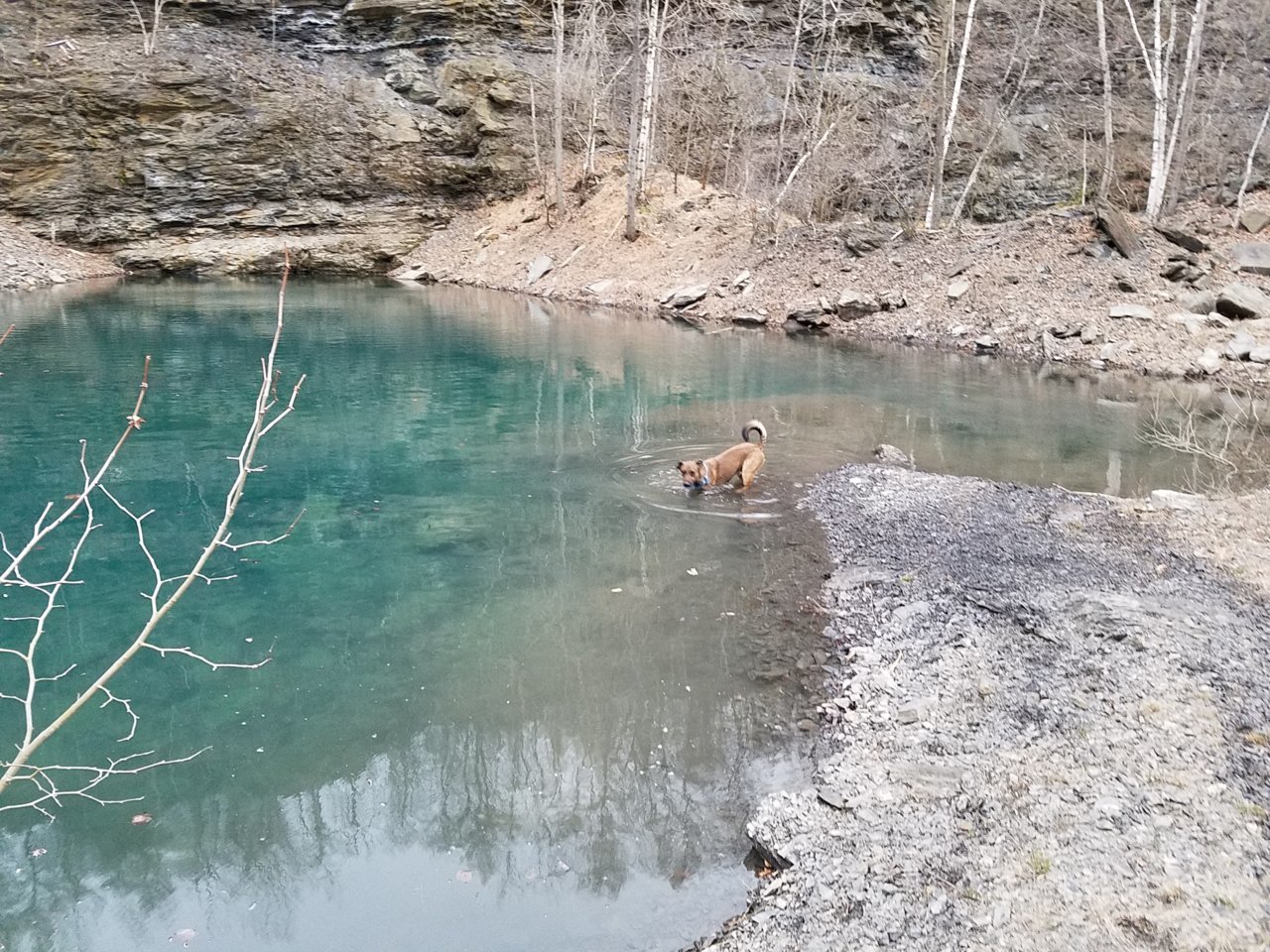 20180414_192407.jpg