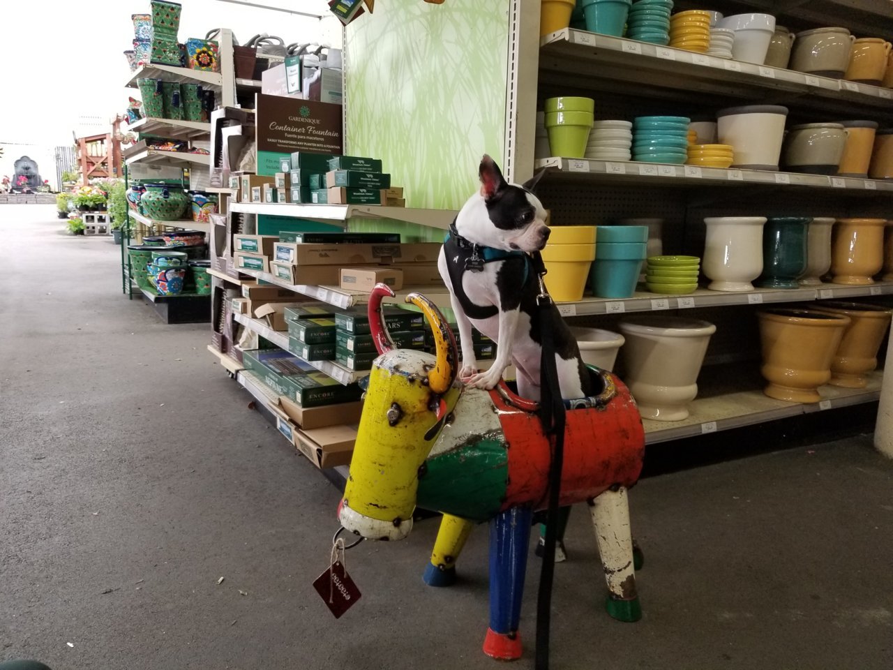 20180415_172926.jpg