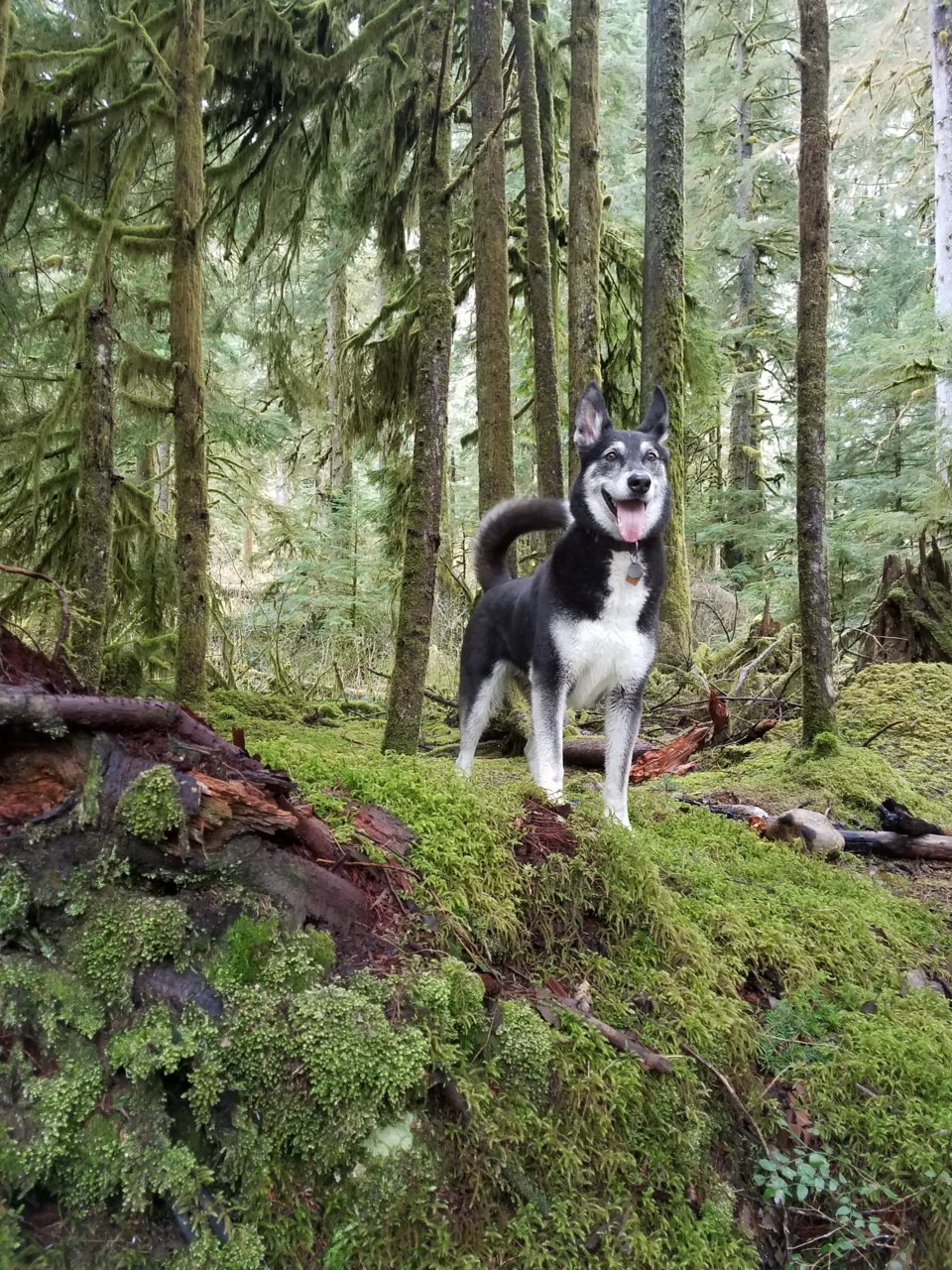 20180415_173151.jpg