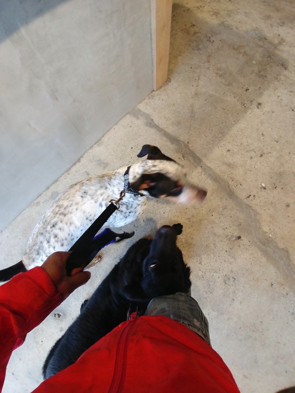 20180416_115643_HDR.jpg