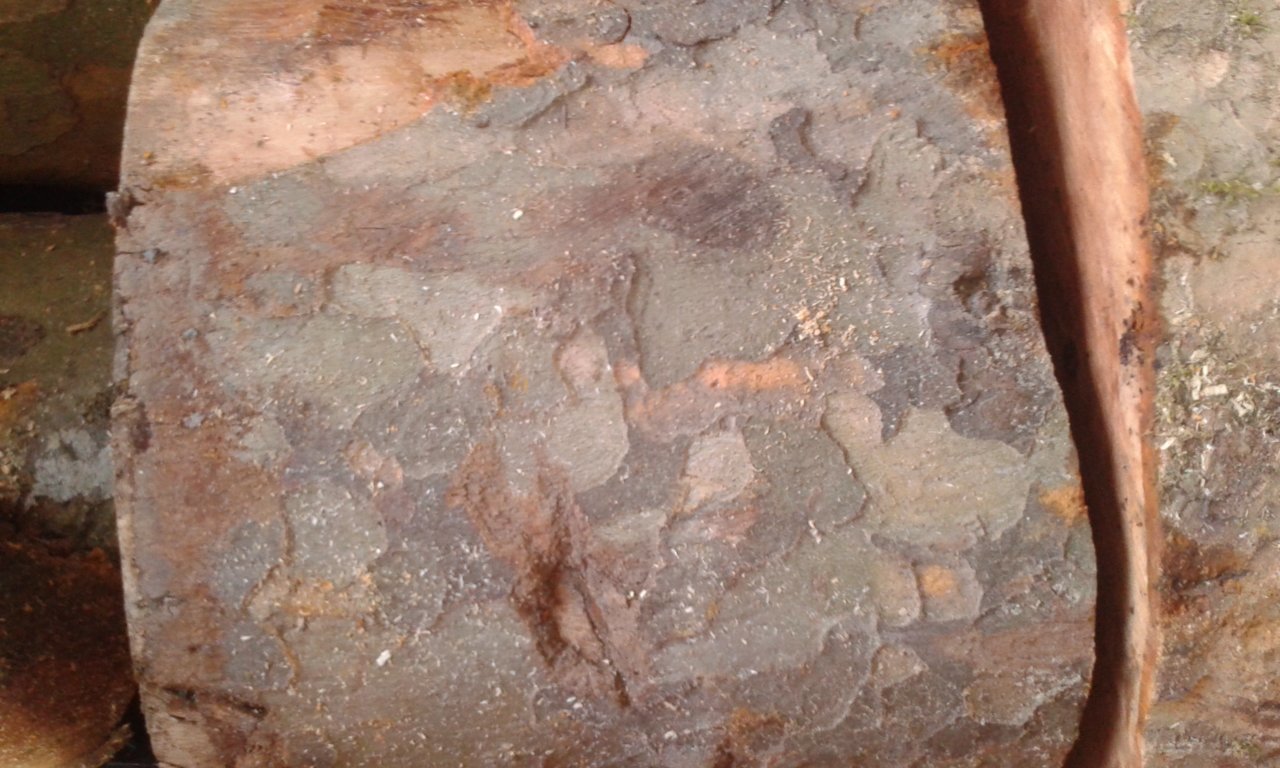 20180416_191826.jpg
