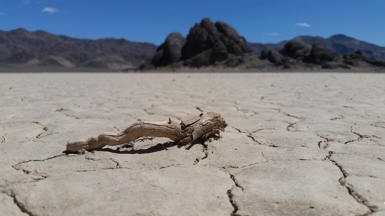 20180417_132640.jpg