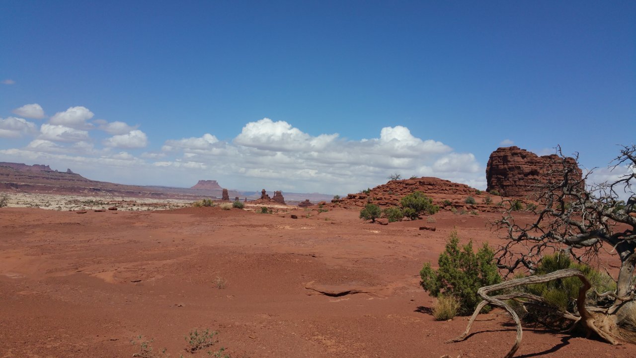 20180417_141318.jpg
