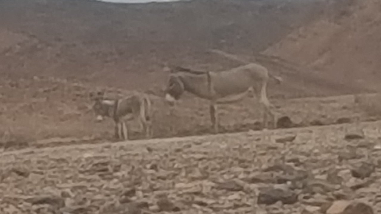 20180417_181456.jpg