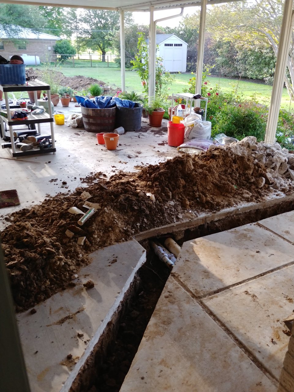 20180418_081127_HDR.jpg